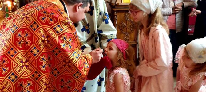Недеља Мироносица прослављена у Покровском храму у Петроварадину