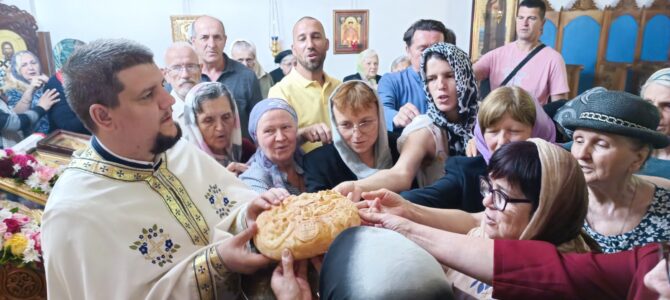 Празник Пећке иконе Мајке Божије у Петроварадину