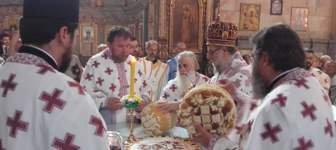 Саборно прослављен Видовдан у манастиру Врдник – Раваници Сремској