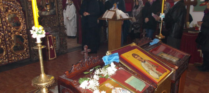 Литургијски прослављен Свети Мардарије Либертвилски у митровачком храму Св. Стефана