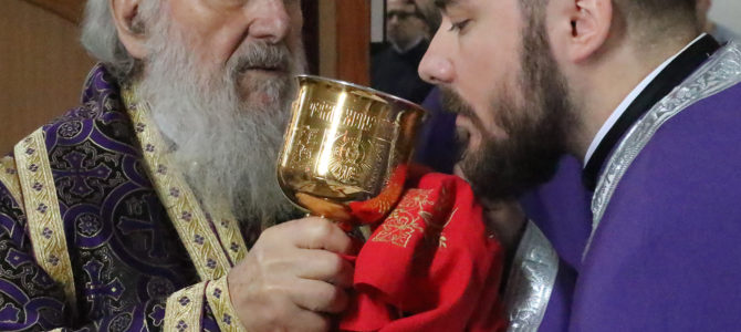 Исповест свештенства архијерејског намесништва београдског – другог