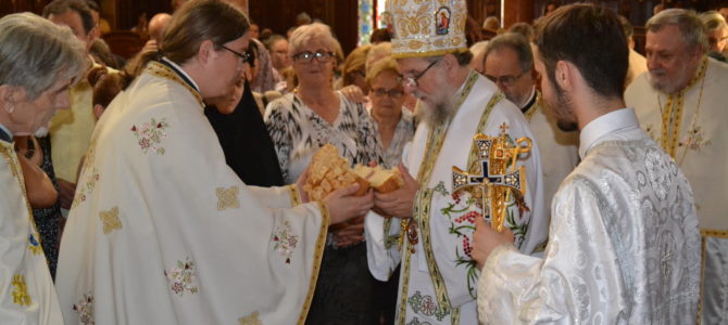 Његово Преосвештенство Епископ сремски Г. Василије литургијски прославио своју крсну славу