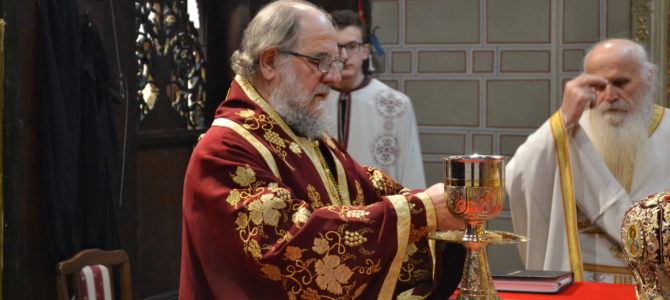 Свети Сава као узор – запис говора Епископа сремског Василија у Бингули