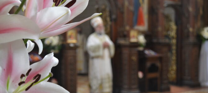 Најава: „У захвалност Светом Сави“ – Епископ сремски г. Василије беседи на свечаној академији у Руми