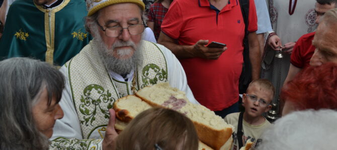 Најава: Епископ сремски г. Василије на Петровдан у Доњем Товарнику