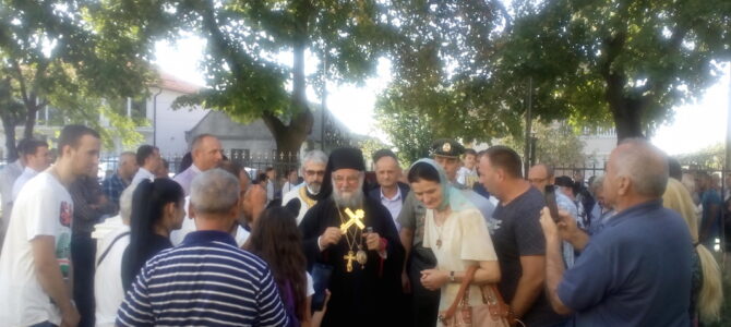 Епископ сремски г. Василије началствовао у Петровчићу