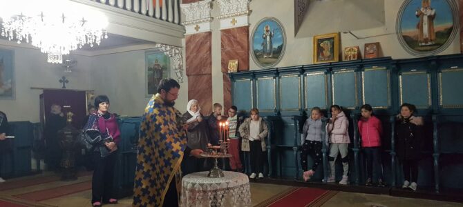 У Беочин селу литургијски прослављени Свети Лука и Свети Петар Цетињски