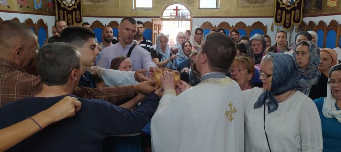 Свети новомученици јасеновачки молитвено прослављени у Петроварадину