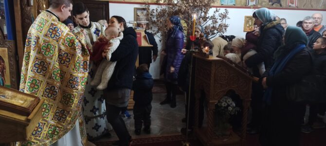 Празник Оци литургијски прослављен у Петроварадину