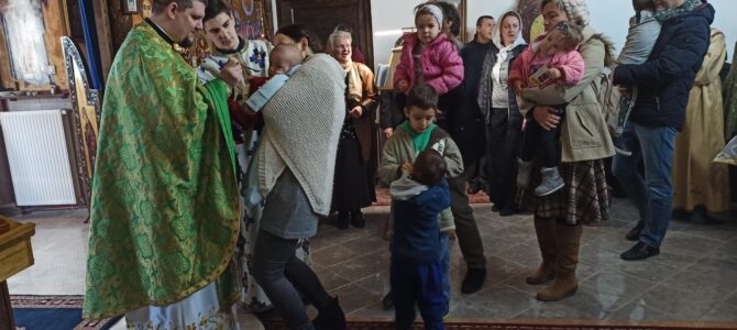 У Петроварадину литургијски прослављен празник Блажене Ксеније