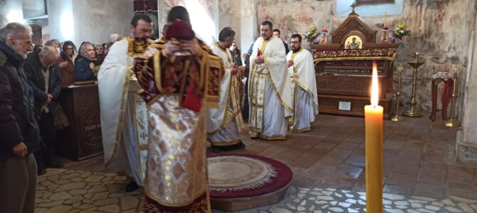 Свети Теодор Тирон литургијски прослављен у манастиру Хопово