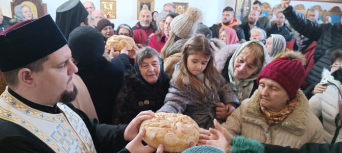 У Петроварадину литургијски прослављен Празник иконе Пресвете Богородице Млекопитатељнице